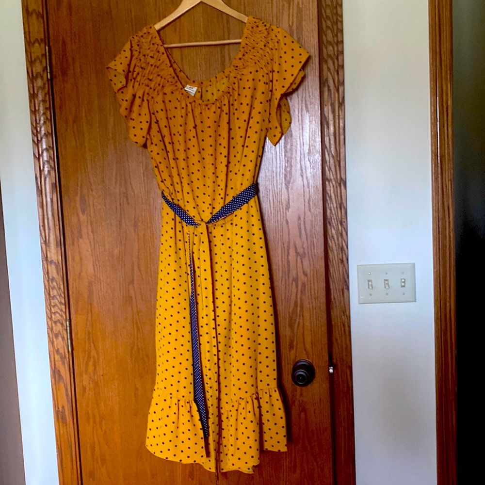 Pretty Gold Dress with Blue and White Polka Dots 3X reversible Belt by Wrapoer